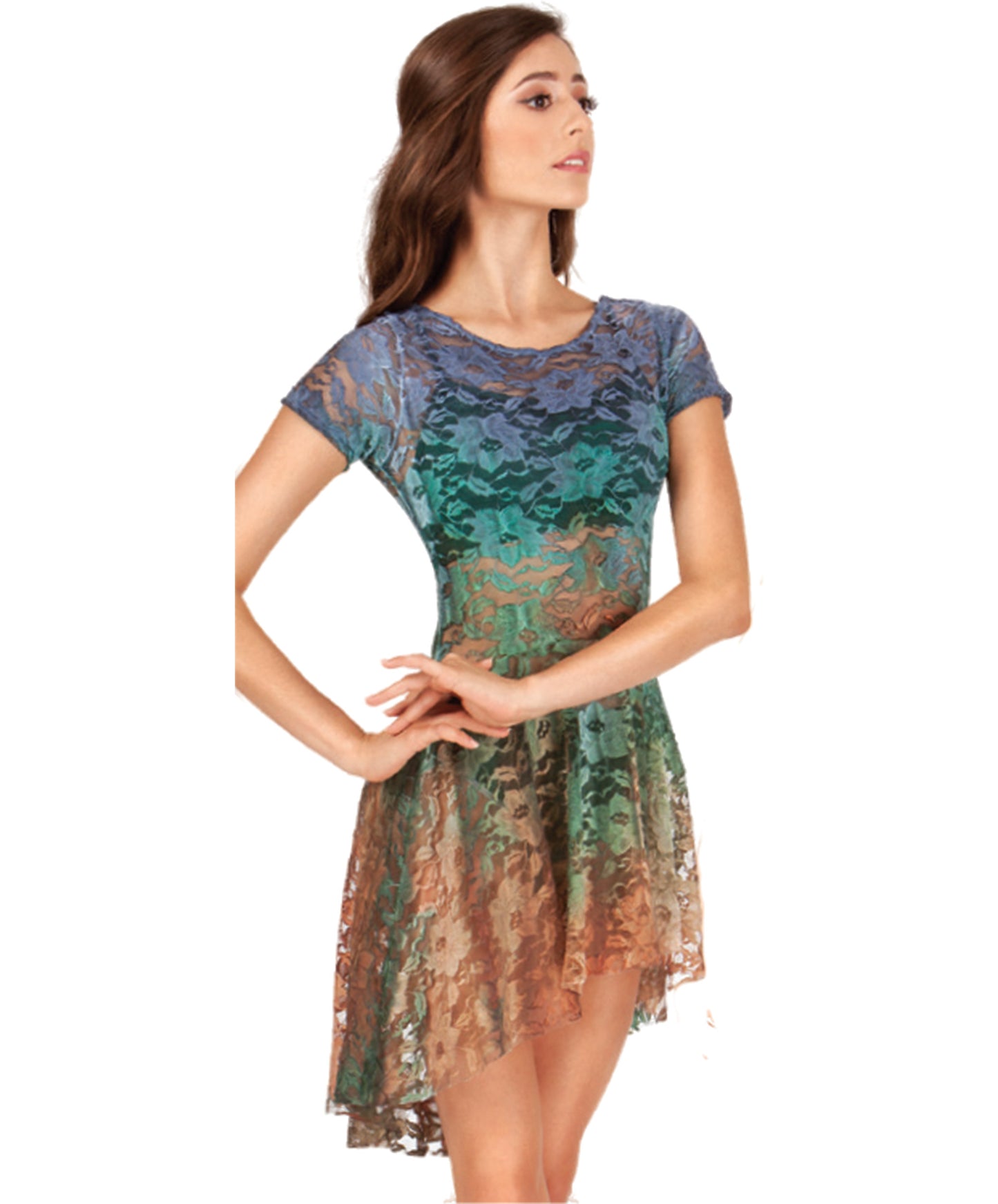 13A Lace Cap Sleeve Dress – Navy/Forest/Rust